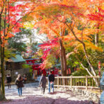 c96a937f9b1a69c899faada17990b351