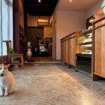 471549586_1321154895737583_1551197209484701076_n