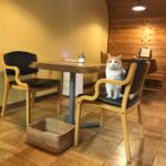 476148389_3885348205039723_280111255454020988_n