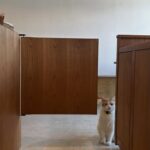 542473739_17908492158217355_5671828461866709429_n