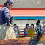 6aaa7c14885d0e542f6128d162bd3e61