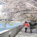 s20140406-1104-1020×680