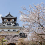 d8428fc8a0393f15d59558139539532b