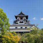 e80a367e83d72a0d767b75a14f1b8d36