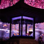 469163442_17989122935742366_7001175261851037777_n