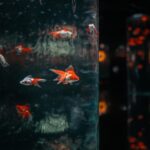 474852396_17995403750742366_7070286291818304221_n