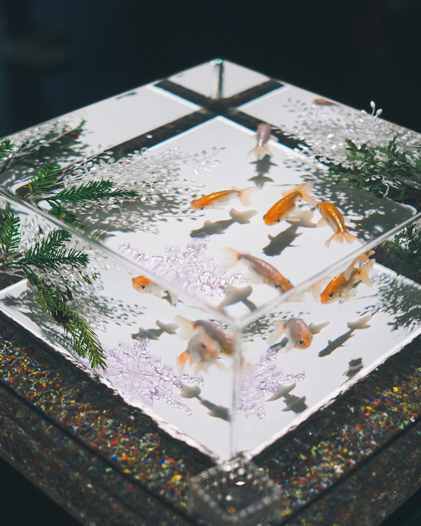 Art Aquarium Museum GINZA