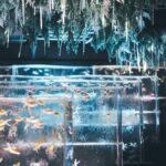 476199472_17996536991742366_3317830165236334703_n