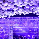 480746611_633409622780557_1438577113863835796_n