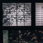 487171661_18002819285742366_7067167706523076838_n