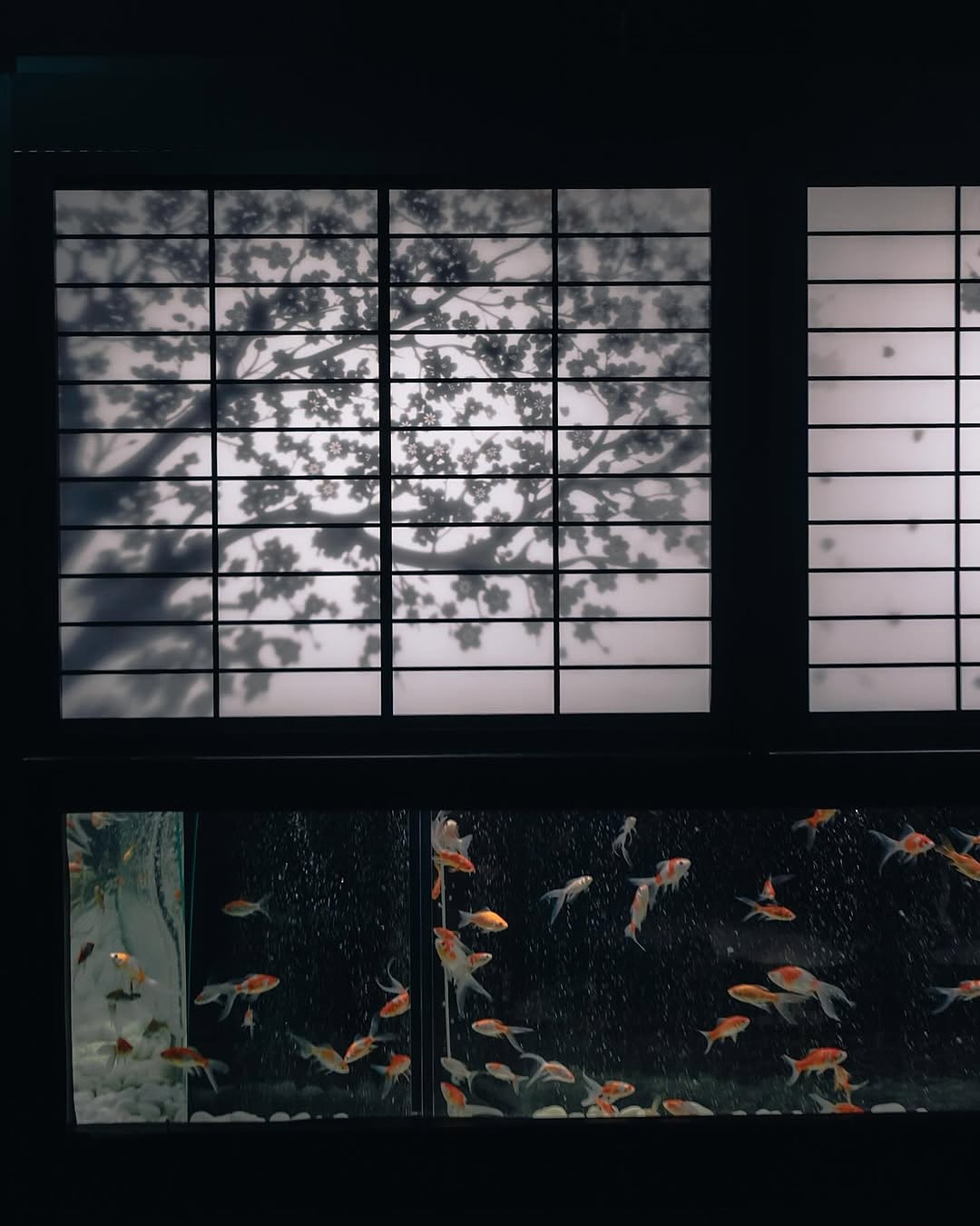 Art Aquarium Museum GINZA