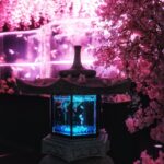 490502343_18004710602742366_7495019315747685262_n