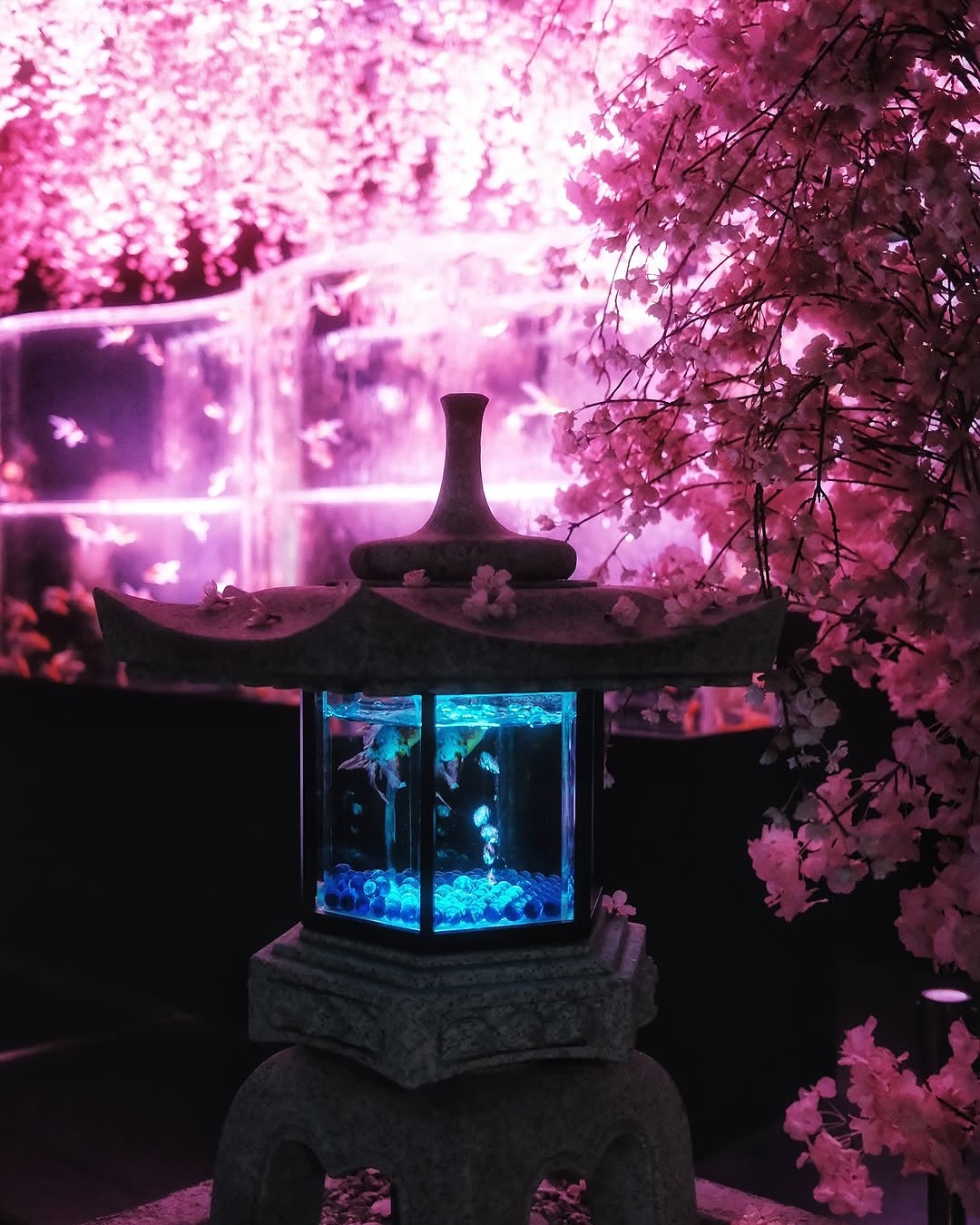 Art Aquarium Museum GINZA