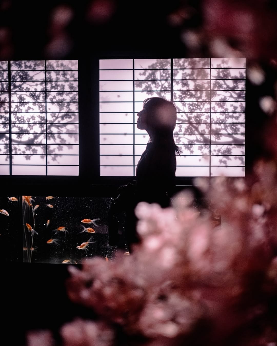 Art Aquarium Museum GINZA