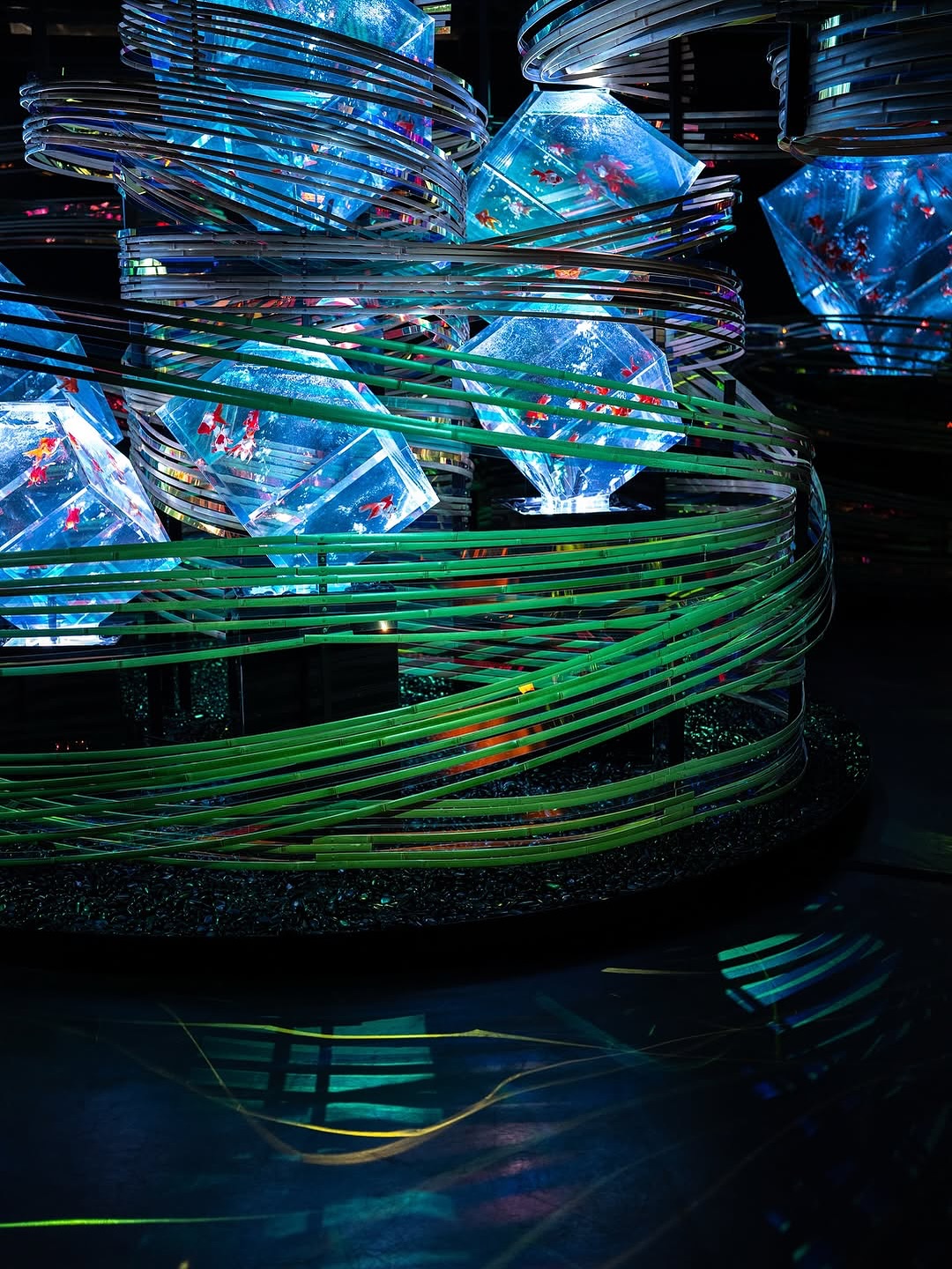 Art Aquarium Museum GINZA