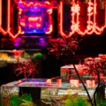 556496677_18024270419742366_902712346788728360_n