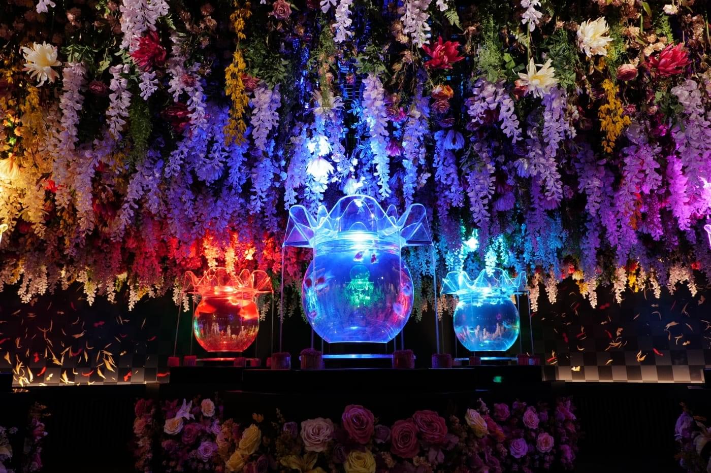 Art Aquarium Museum GINZA