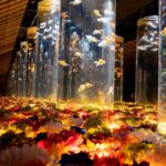 zrF3phHkhED162IWZ8N9AeHpLg7rA2ENZ4zMmbPw