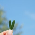 469942187_4019898091667513_3631573082724014710_n