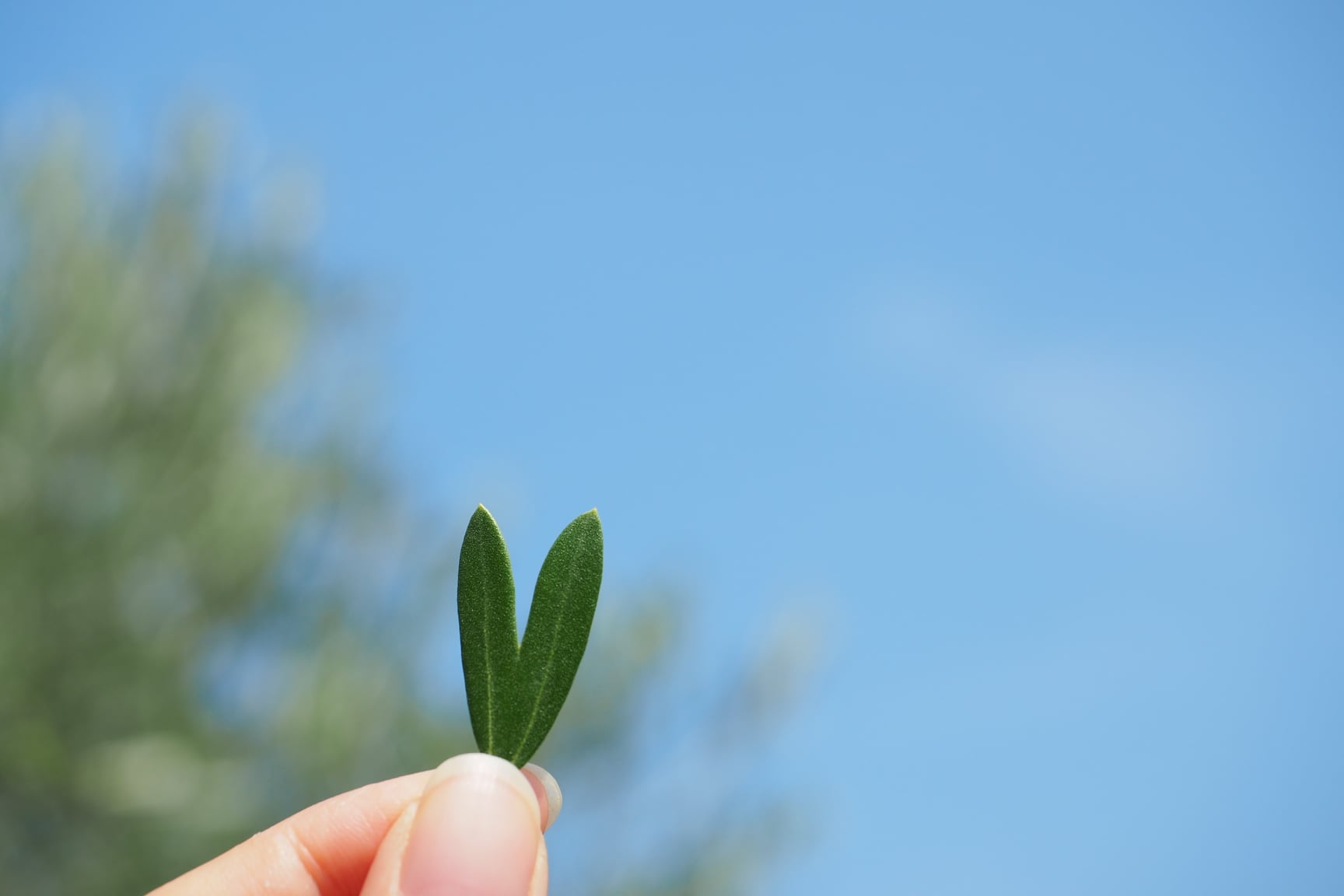 จุดพักรถ