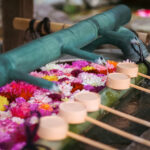 72402158_522922204938846_5449053146768669728_n-2