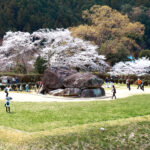 IMG_0299カラー補正-2