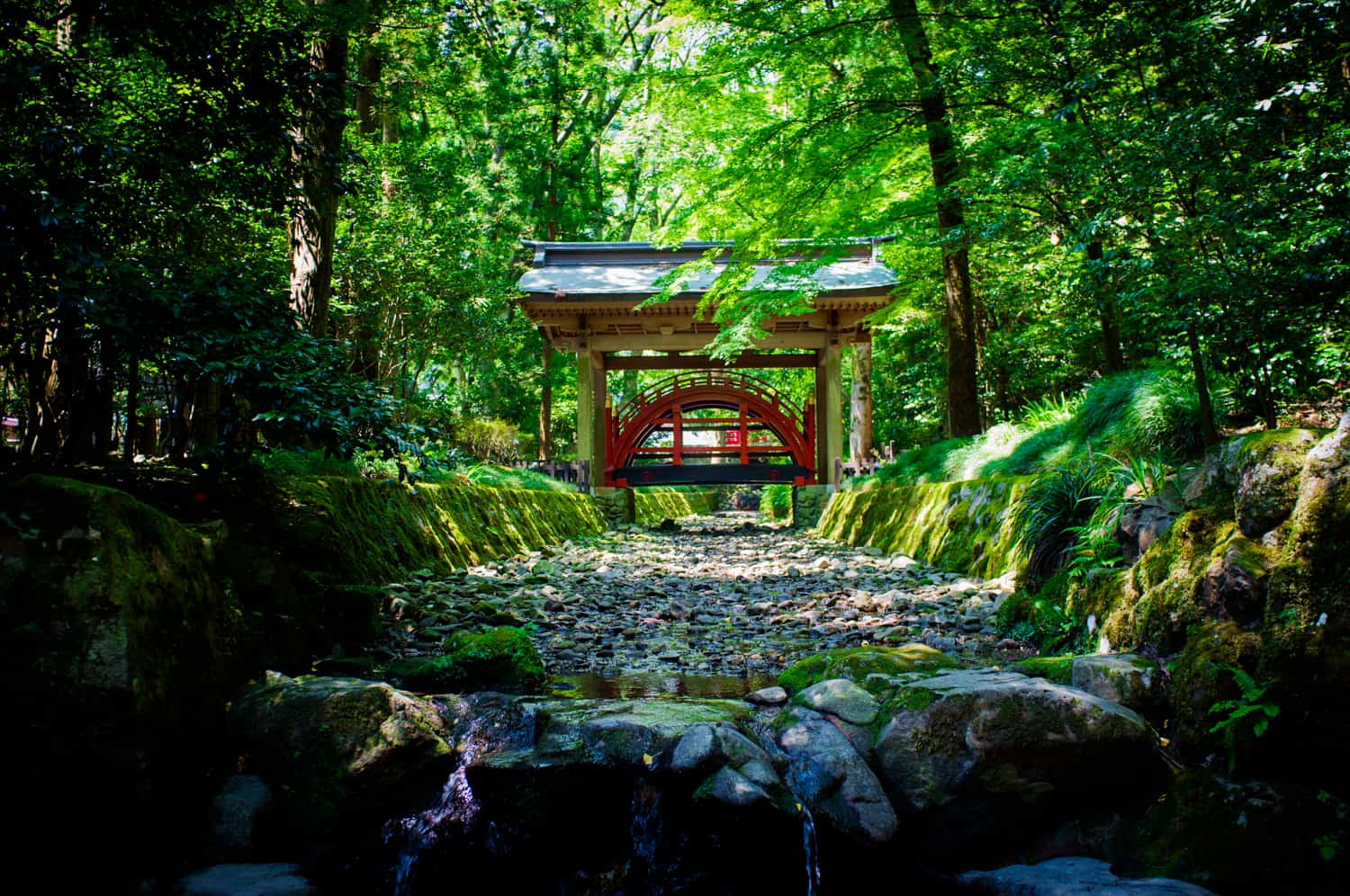 Yahiko Shrine niigata