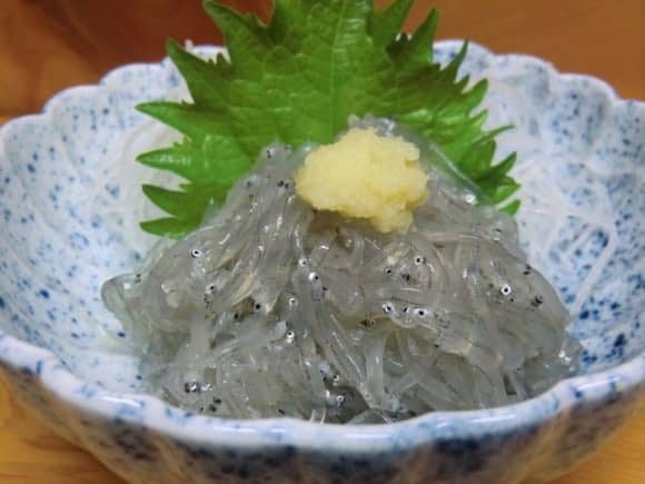 อาหารประจำฤดูใบไม้ผลิของญี่ปุ่น : ปลาชิราสึสด