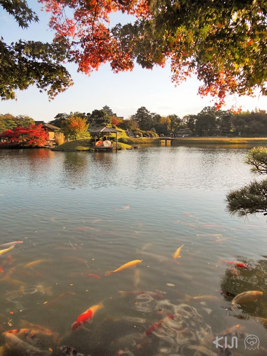 บรรยากาศตรงริมน้ำภายในสวนโครากุเอ็ง (Kōraku-en)