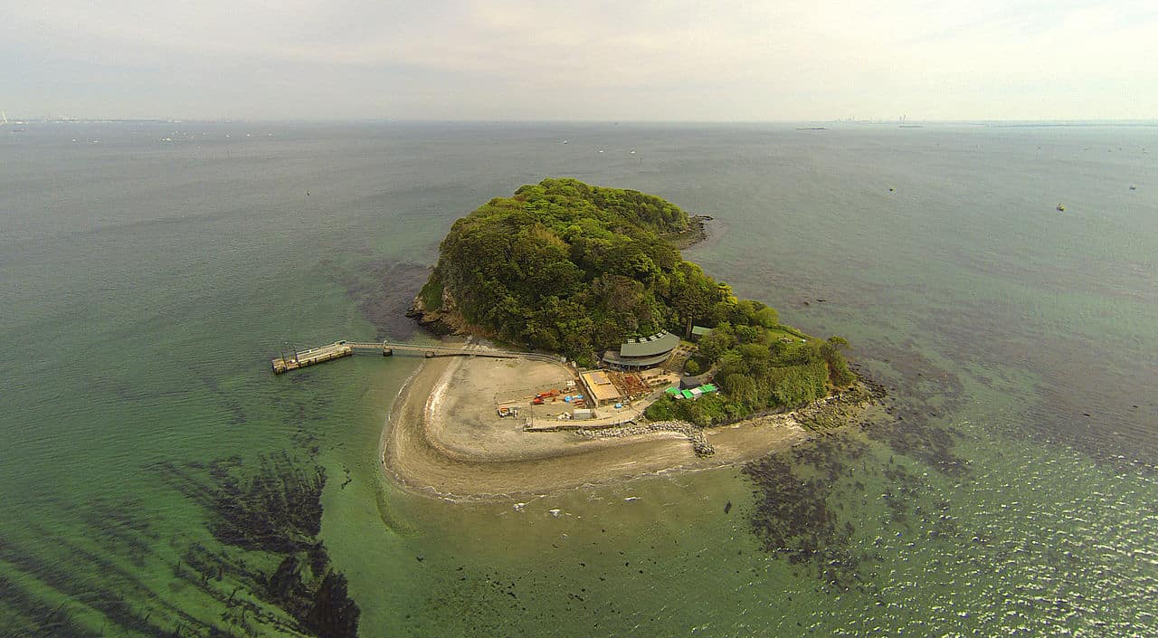 เกาะซารุชิมะ (Sarushima Island)