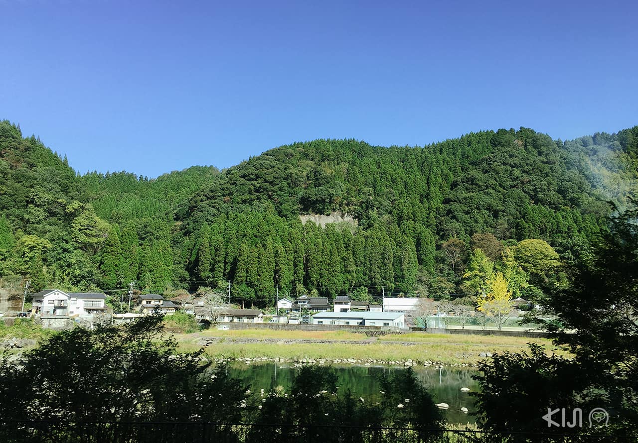 วิวสองข้างทางมองจากข้างในรถไฟ Yufuin No Mori