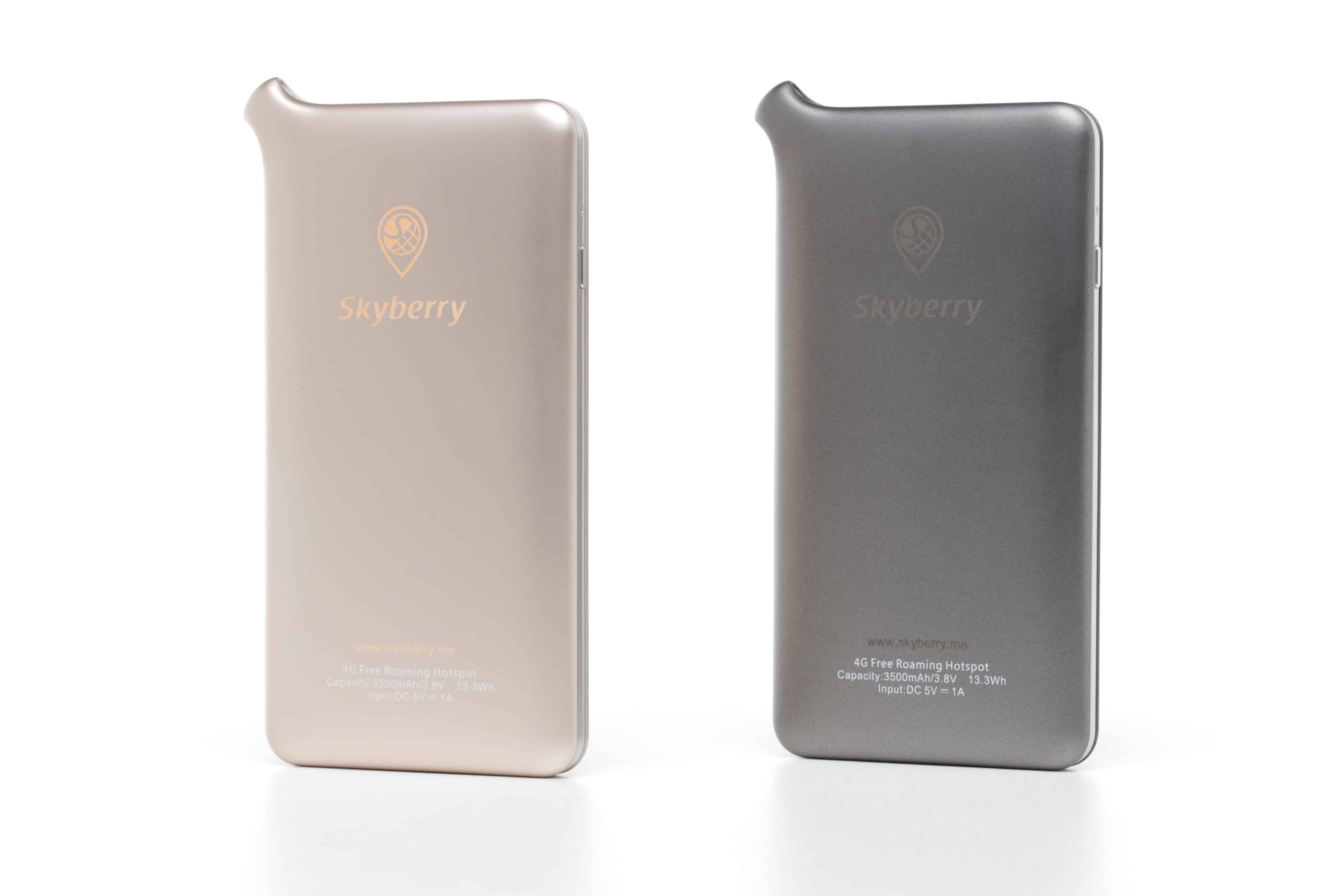 Pocket Wifi ที่เช่าไปจากไทยของ Skyberry