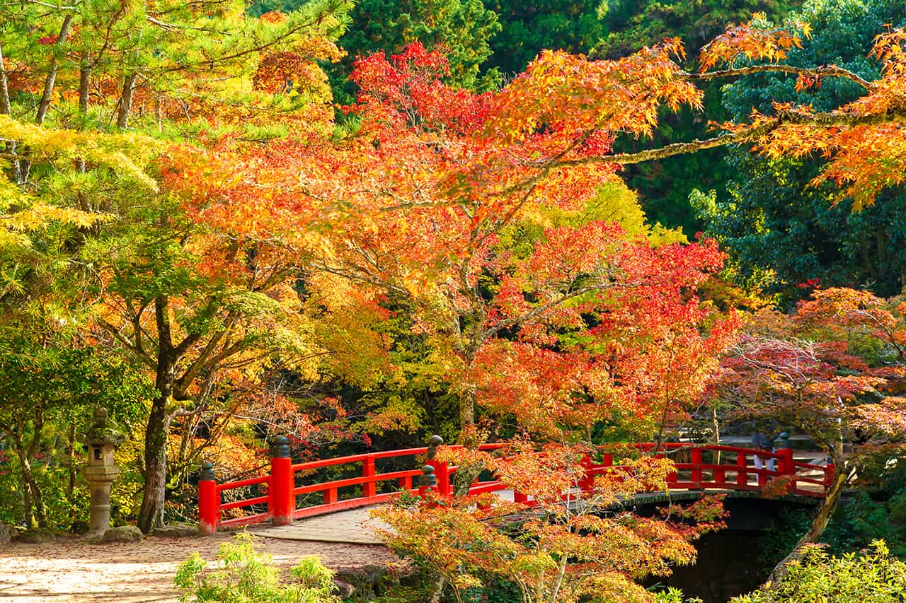 8 จุดชมใบไม้เปลี่ยนสีทั่วญี่ปุ่น : Momijidani Park, Hiroshima, Chugoku