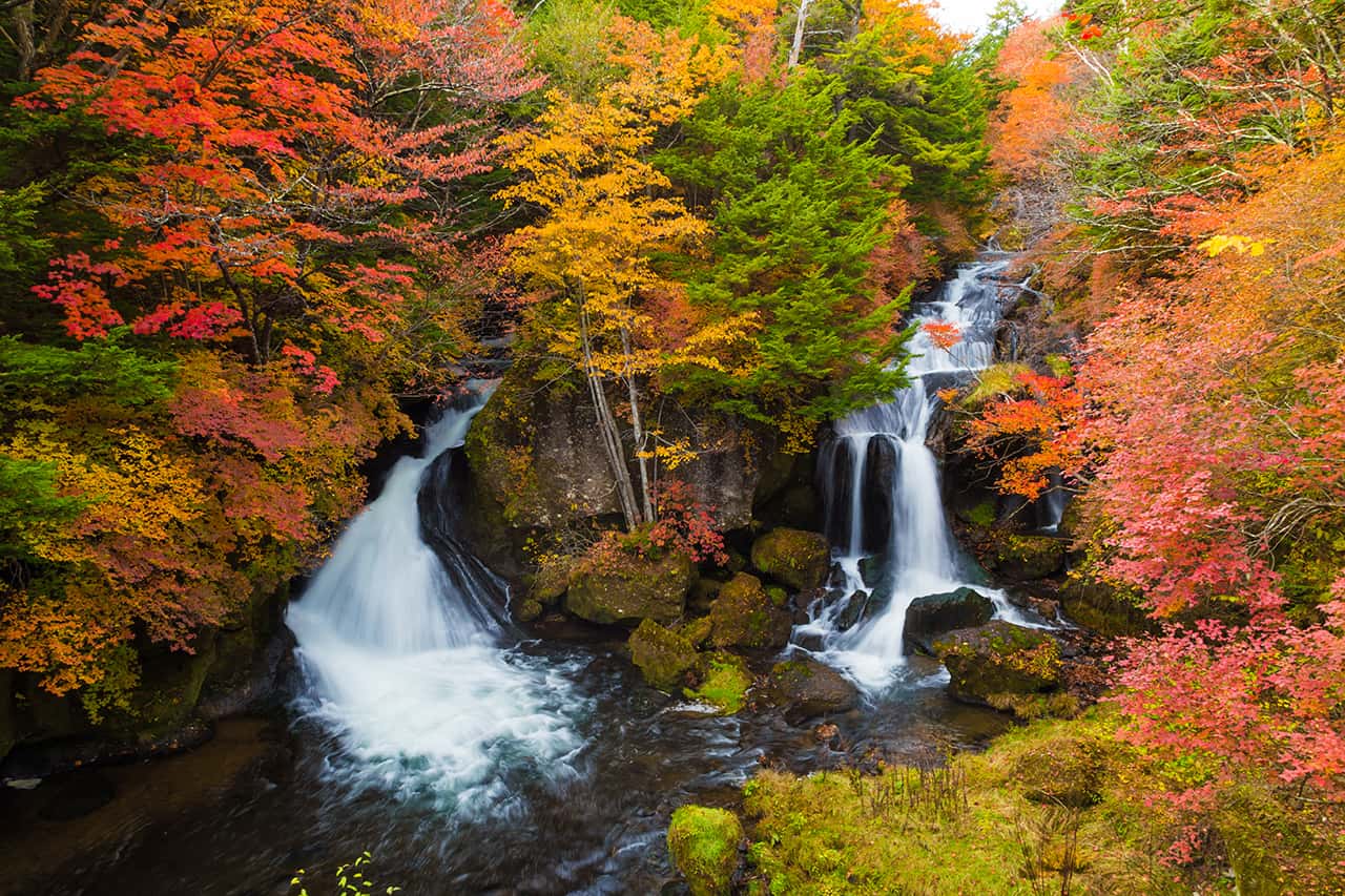 8 จุดชมใบไม้เปลี่ยนสีทั่วญี่ปุ่น : Ryuzu Waterfall, Tochigi, Kanto