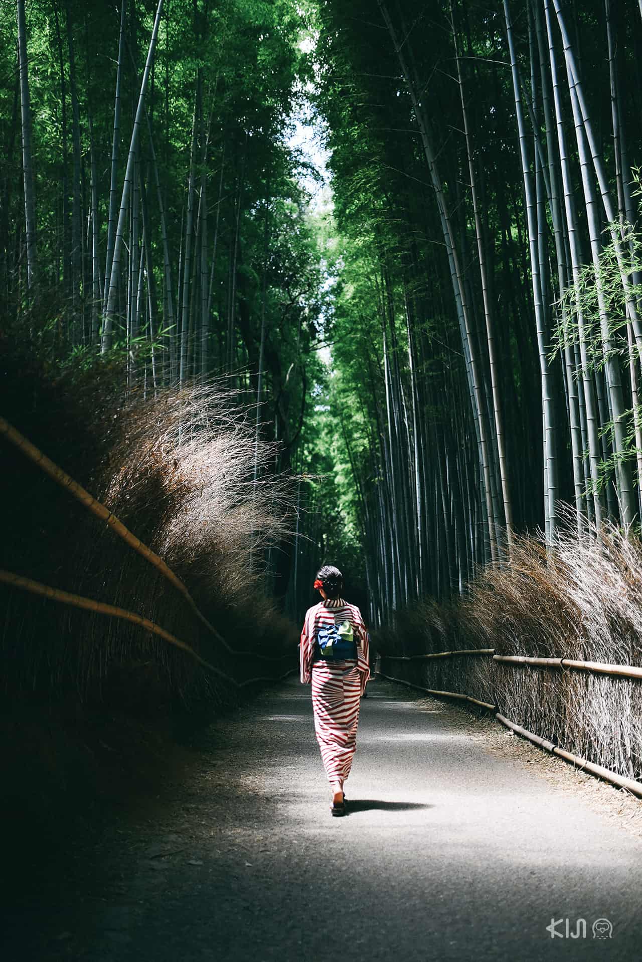 ย่านอาราชิยาม่า (Arashiyama) ในเกียวโต