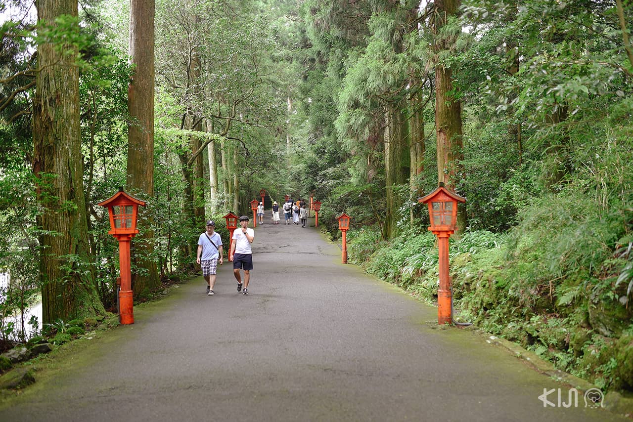 ทางเดินที่ศาลเจ้าฮาโกเน่ (Hakone Shrine)