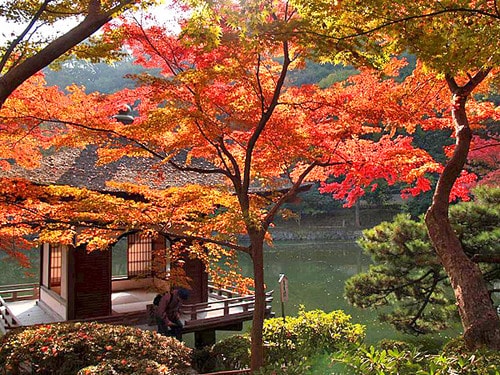  Momijidani Teien Garden (紅葉渓庭園) at Wagayama