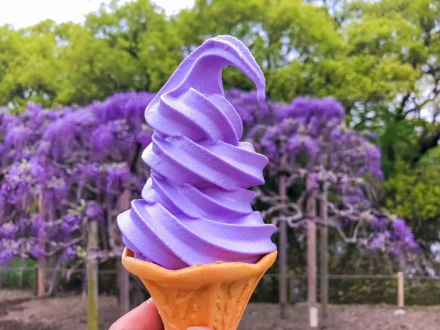 ไอศกรีมวิสทีเรีย ที่สวนดอกไม้อาชิคากะ (Ashikaga Flower Park)