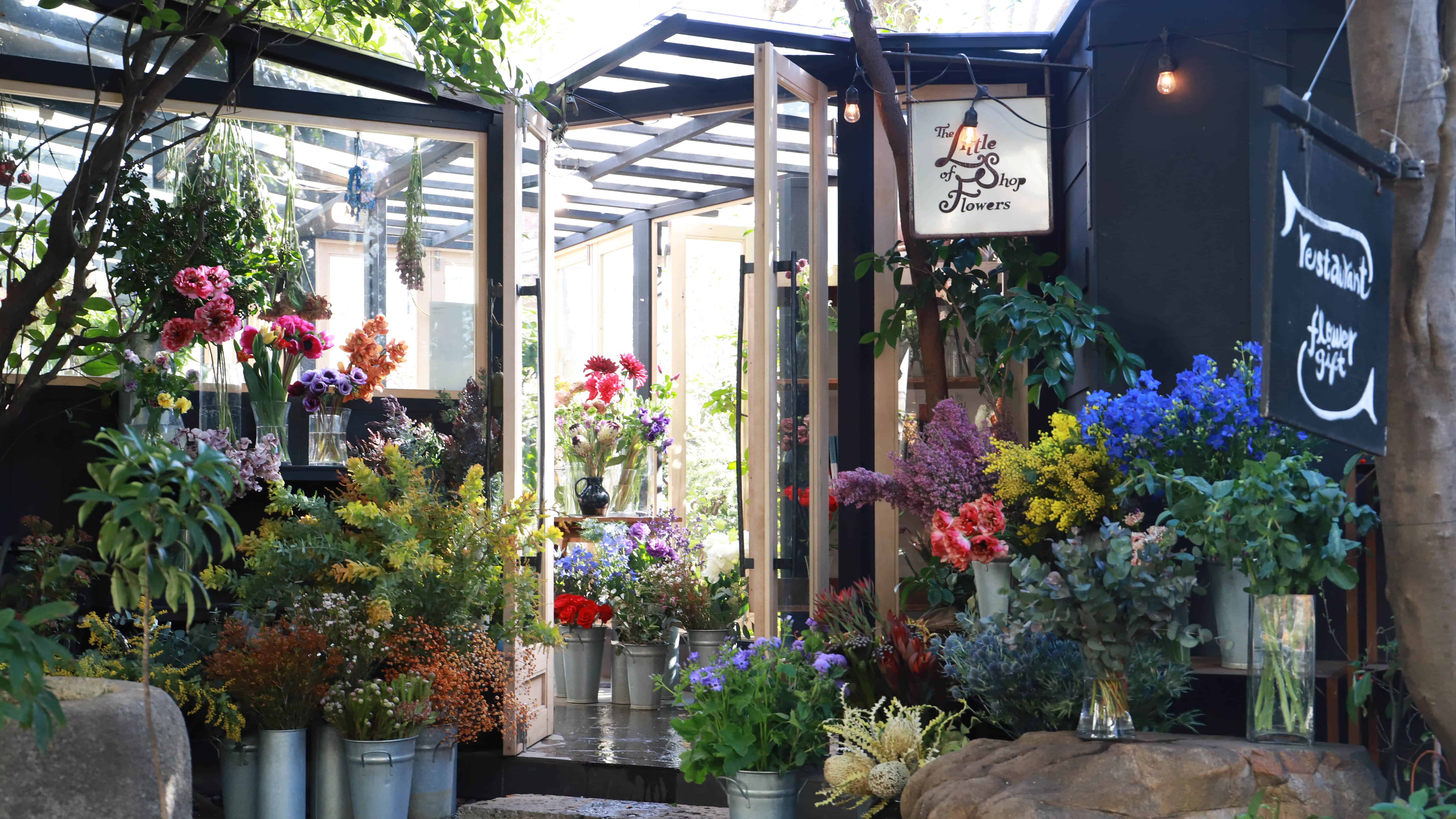 the little shop of flower