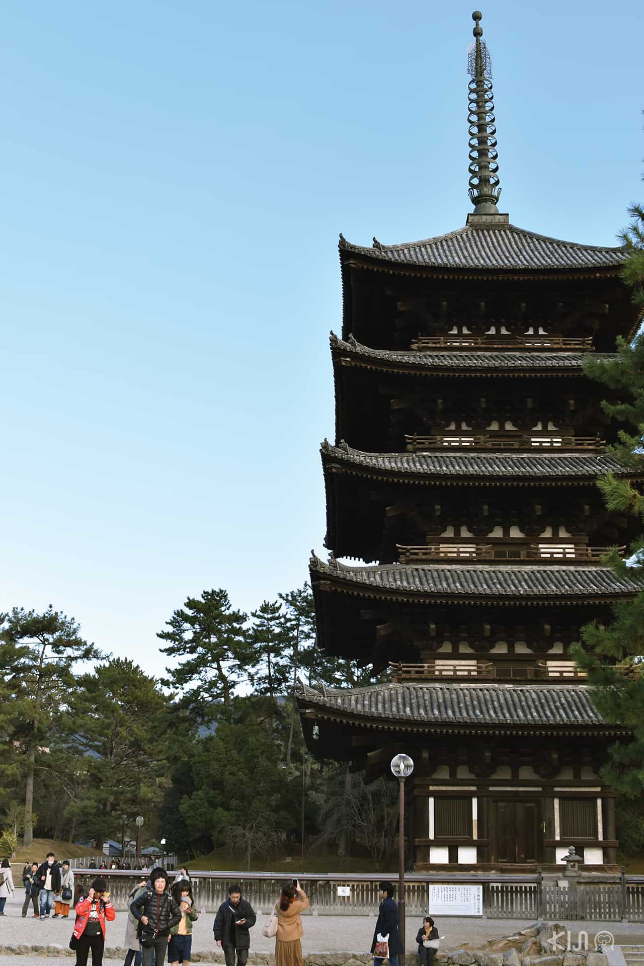 The Five-Storied Pagoda เจดีย์ไม้สูง 5 ชั้นที่เป็นเหมือนสัญลักษณ์ของวัดโคฟุคุจิ