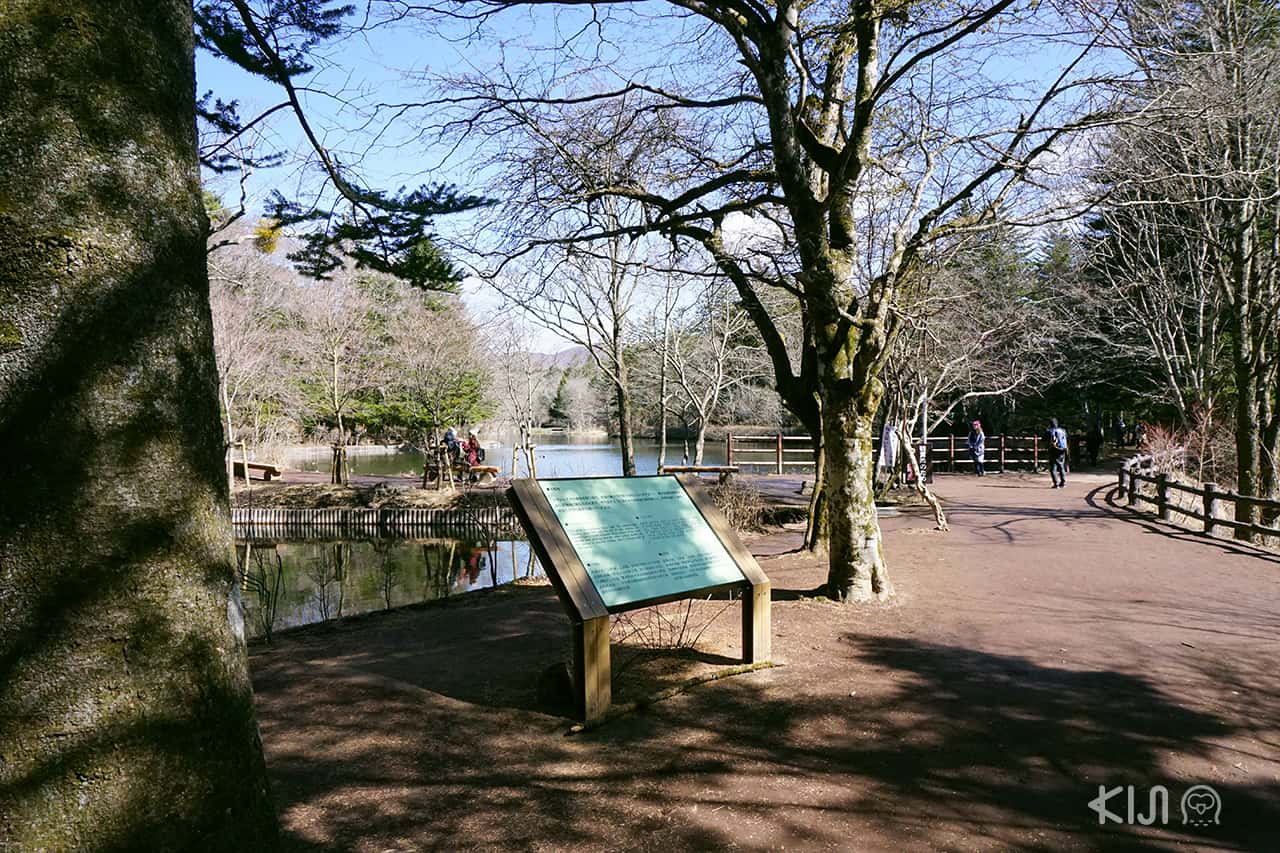 Kumoba Pond คารุอิซาวะ (Karauizawa)