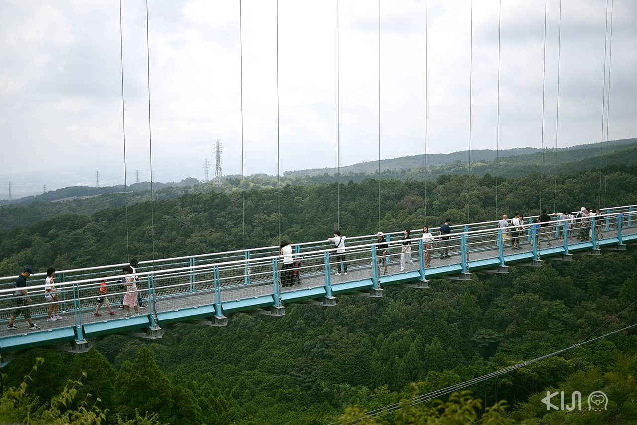 Mishima Skywalk สะพานแขวนที่ยาวที่สุดในญี่ปุ่น