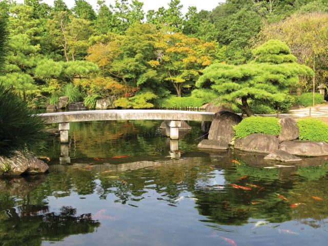 Koko-en Garden in ปราสาท ฮิเมจิ (โกเบ อากาชิ ฮิเมจิ)