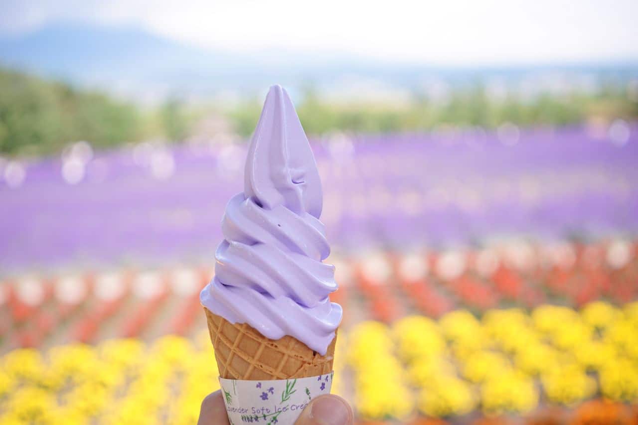 กินไอศกรีมลาเวนเดอร์ ที่ ทุ่งลาเวนเดอร์ ฟาร์มโทมิตะ ฮอกไกโด
