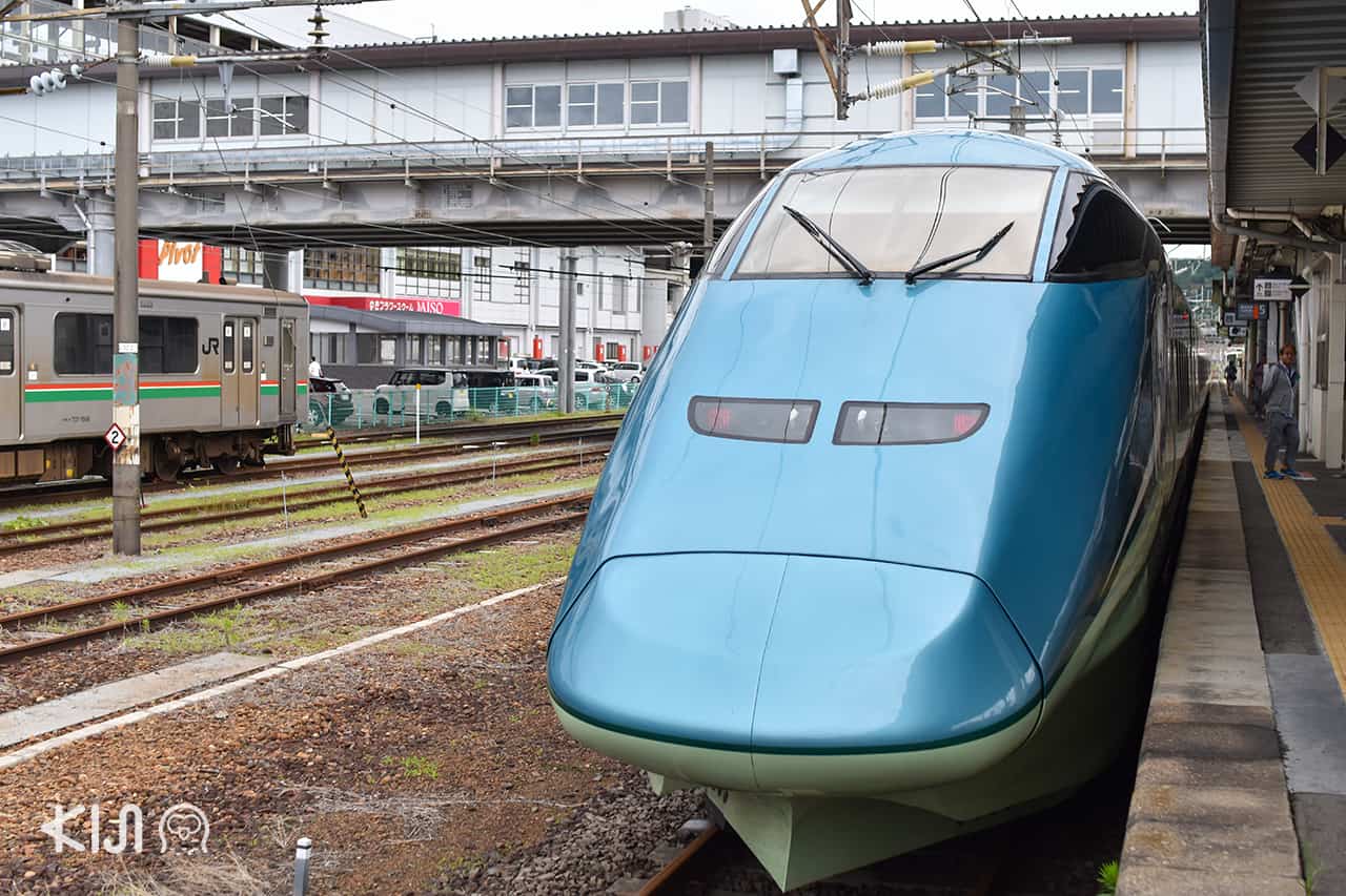 JR East Pass Tohoku Area, Joyful Train, Toreiyu Tsubasa