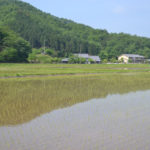Maruyama River 3