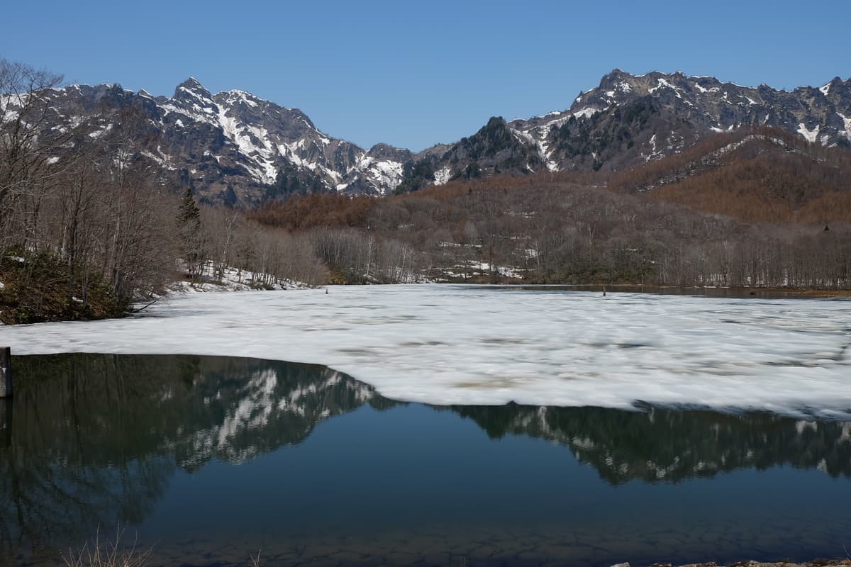 โทกาคุชิ (Togakushi) ในจังหวัด นากาโน่ (Nagano)