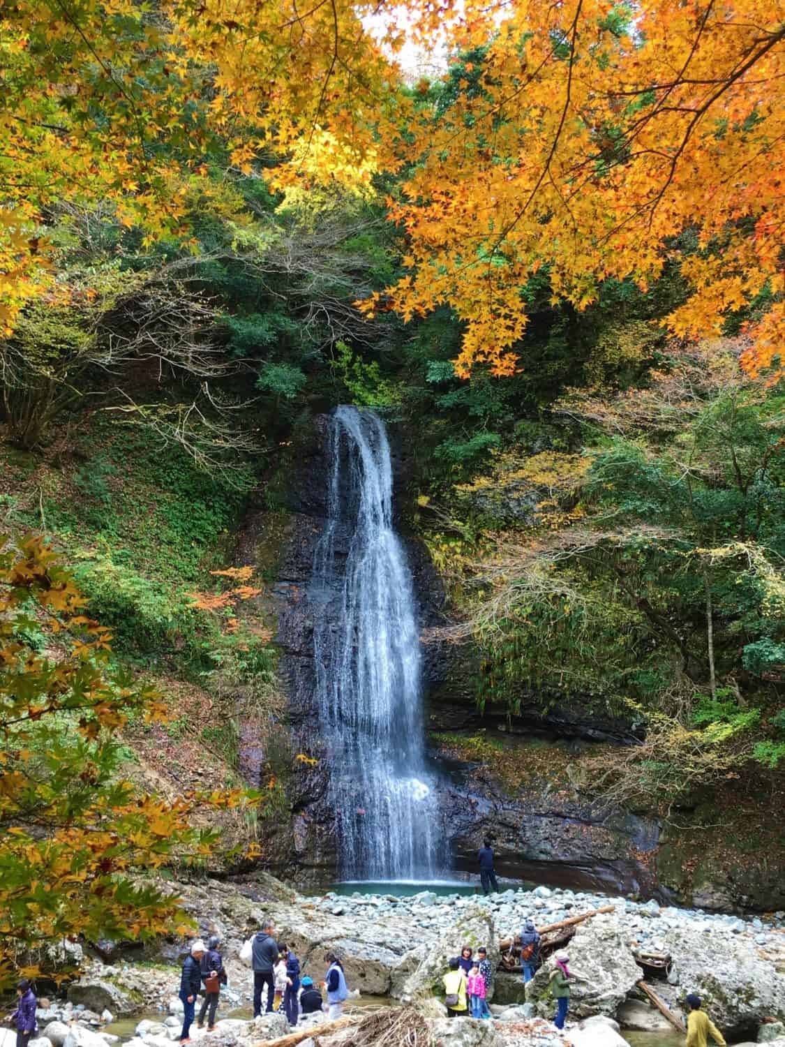 ใบไม้เปลี่ยนสี คิโนะซากิออนเซ็น (Kinosaki onsen) หุบเขาอาเสะ (Ase Valley)