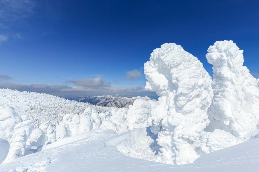 TOHOKU In Winter : 9 สิ่งที่ต้องทำในฤดูหนาวที่ โทโฮคุ | Kiji.life