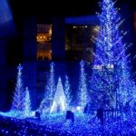 winter illuminations-tokyo-japan